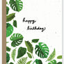 Birthday wildflower seed paper card